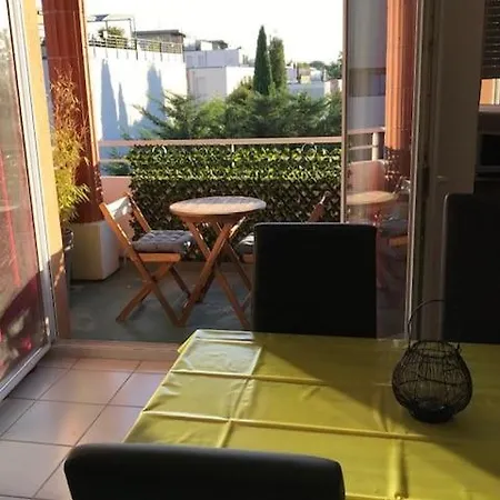 Toulouse-tournefeuille Calme Et Verdoyant *